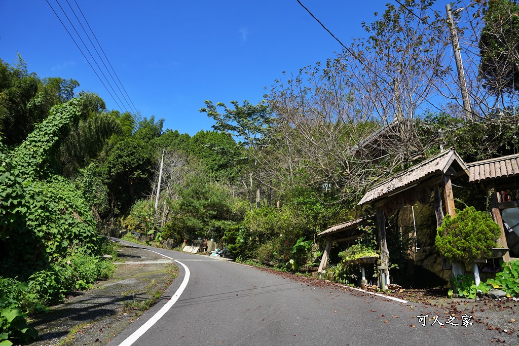 嘉義景點推薦,嘉義阿里山,茶林山步道,阿里山步道山景雲海,阿里山觀景台