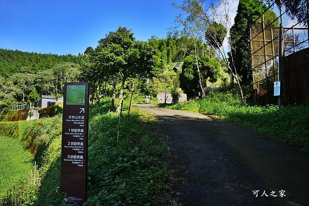 嘉義景點推薦,嘉義阿里山,茶林山步道,阿里山步道山景雲海,阿里山觀景台