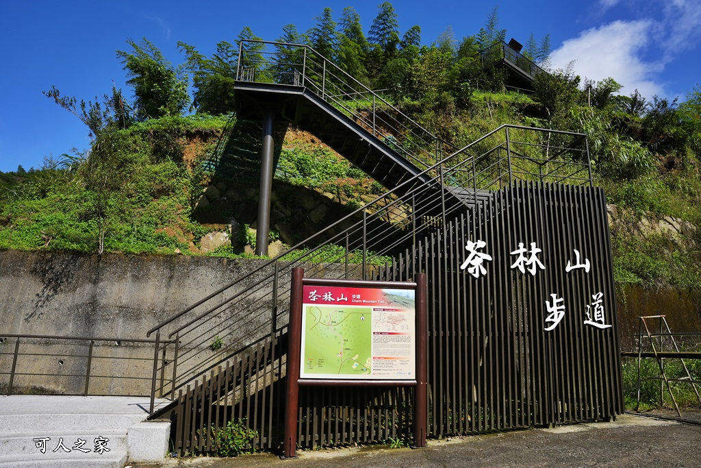 嘉義景點推薦,嘉義阿里山,茶林山步道,阿里山步道山景雲海,阿里山觀景台