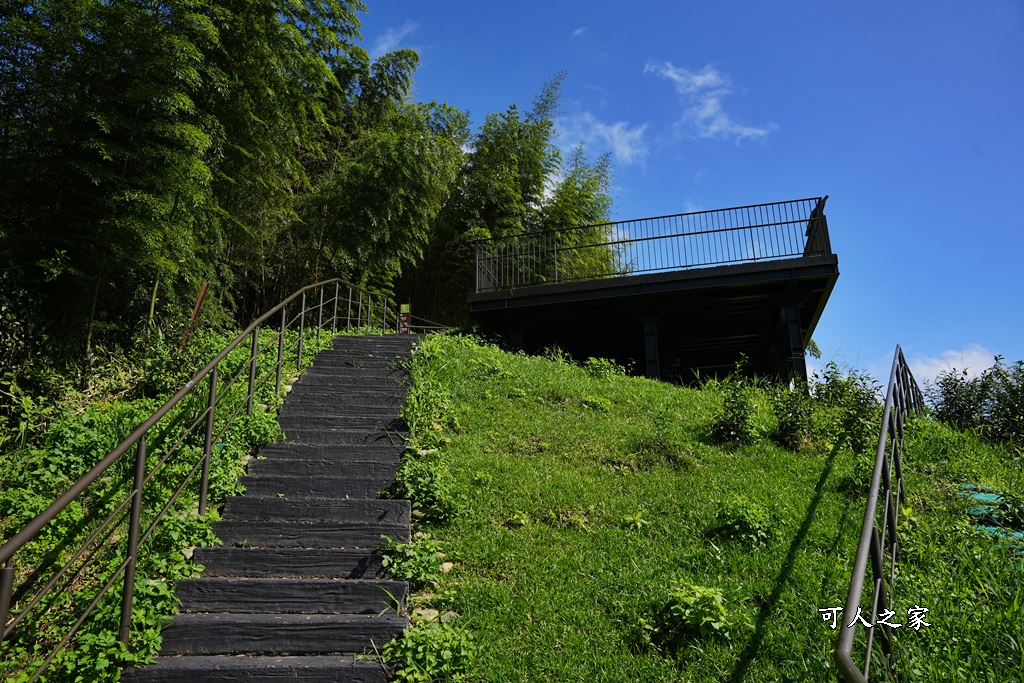 嘉義景點推薦,嘉義阿里山,茶林山步道,阿里山步道山景雲海,阿里山觀景台