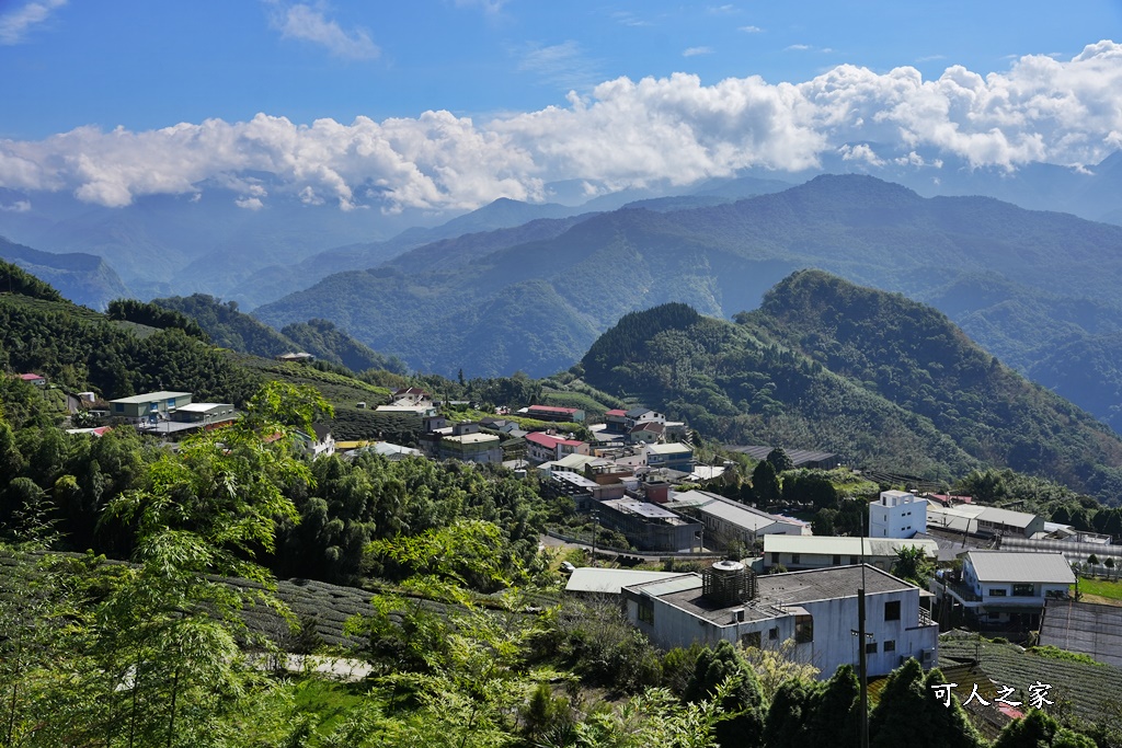 嘉義景點推薦,嘉義阿里山,茶林山步道,阿里山步道山景雲海,阿里山觀景台