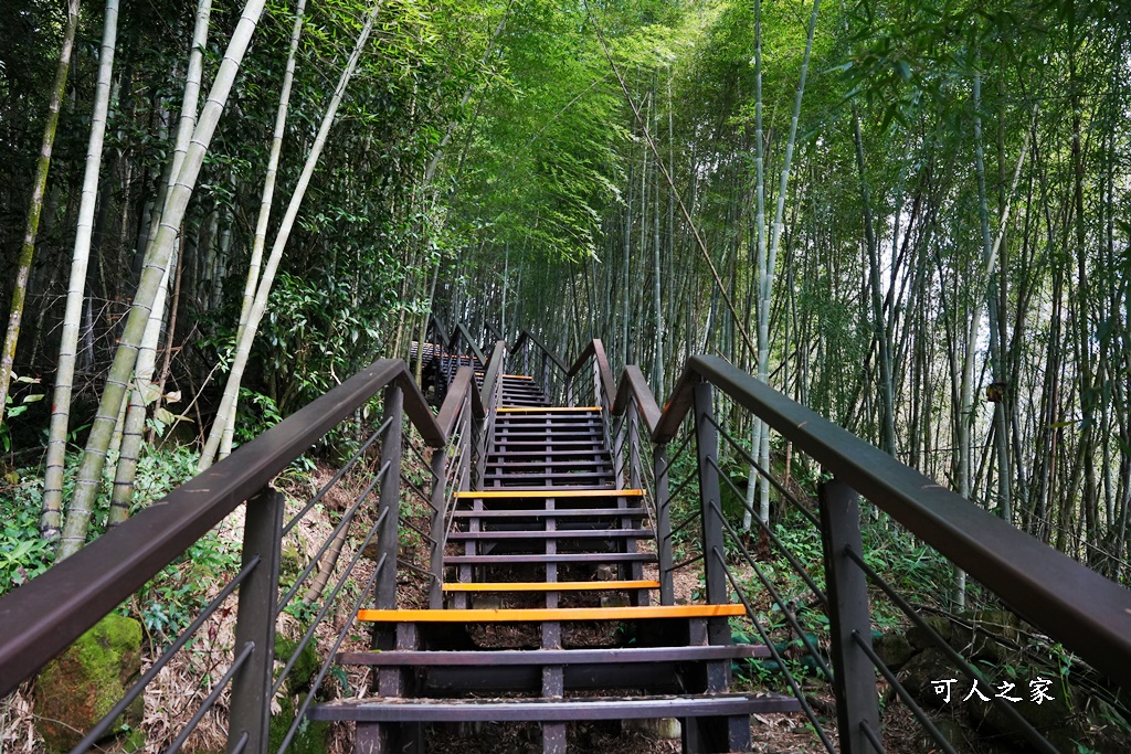 嘉義景點推薦,嘉義阿里山,茶林山步道,阿里山步道山景雲海,阿里山觀景台