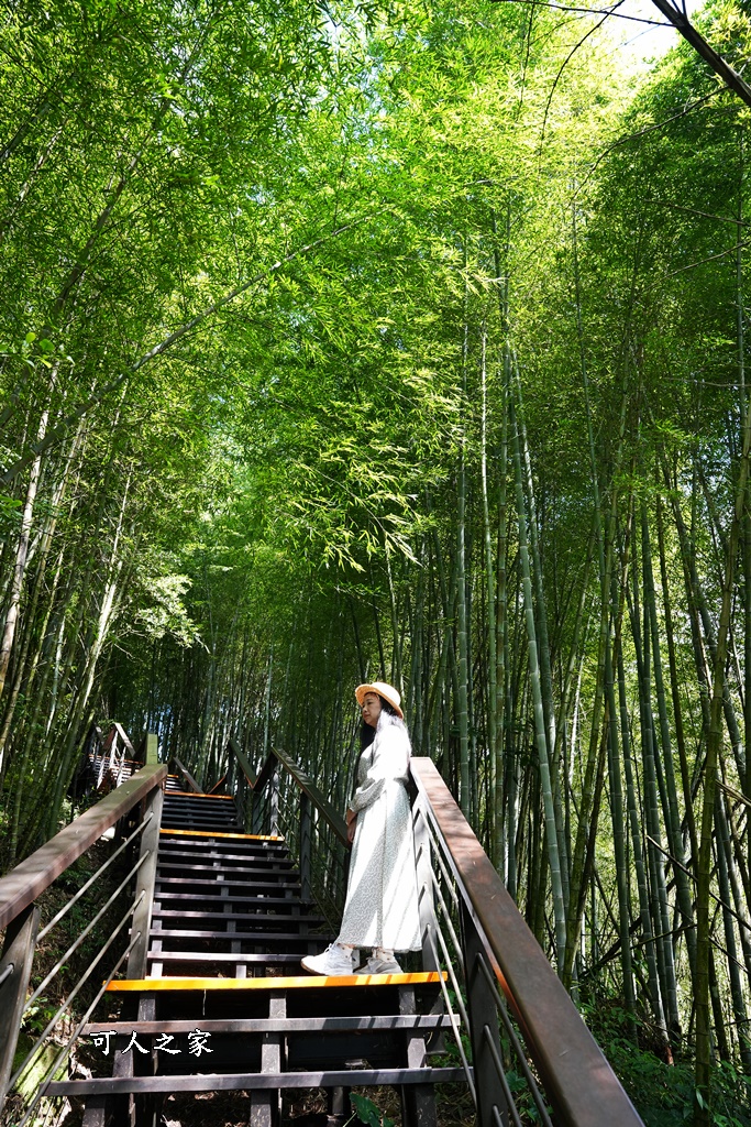 嘉義景點推薦,嘉義阿里山,茶林山步道,阿里山步道山景雲海,阿里山觀景台