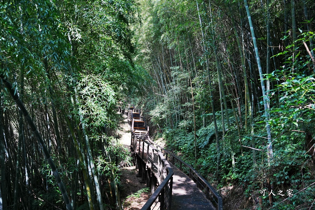 嘉義景點推薦,嘉義阿里山,茶林山步道,阿里山步道山景雲海,阿里山觀景台