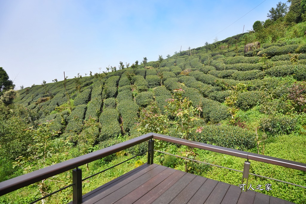 嘉義景點推薦,嘉義阿里山,茶林山步道,阿里山步道山景雲海,阿里山觀景台