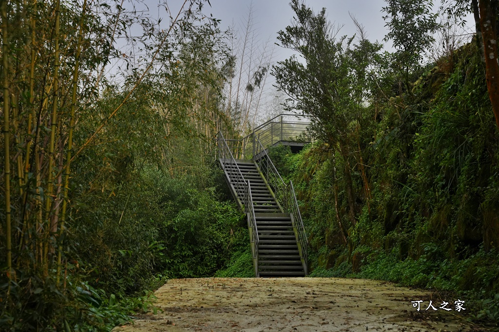 嘉義景點推薦,嘉義阿里山,茶林山步道,阿里山步道山景雲海,阿里山觀景台