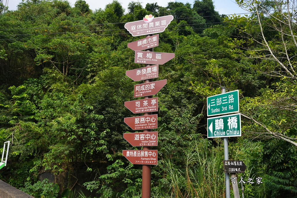 水里吃到飽,水里阿成的家,阿成的家菜單,風味餐吃到飽