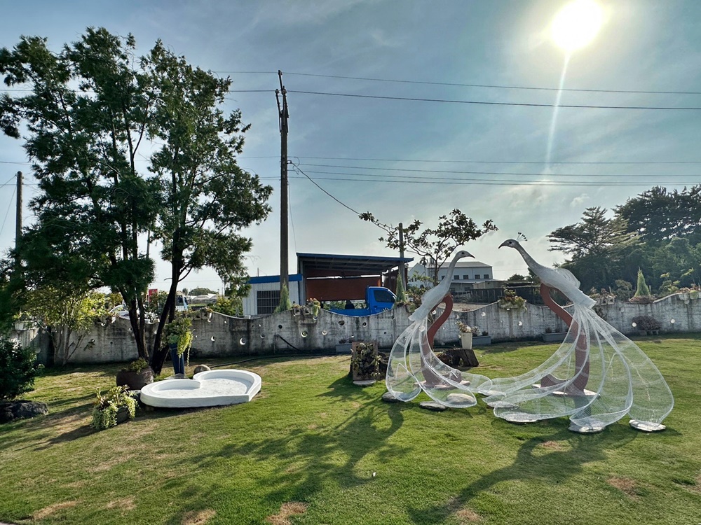 佔地大多肉植物,彰化多肉哪裡買？,田尾公路花園綠植,田尾多肉好好買,田尾多肉推薦,荷蘭花園