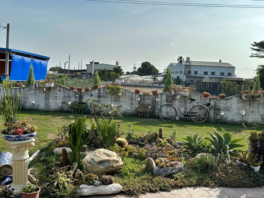 佔地大多肉植物,彰化多肉哪裡買？,田尾公路花園綠植,田尾多肉好好買,田尾多肉推薦,荷蘭花園