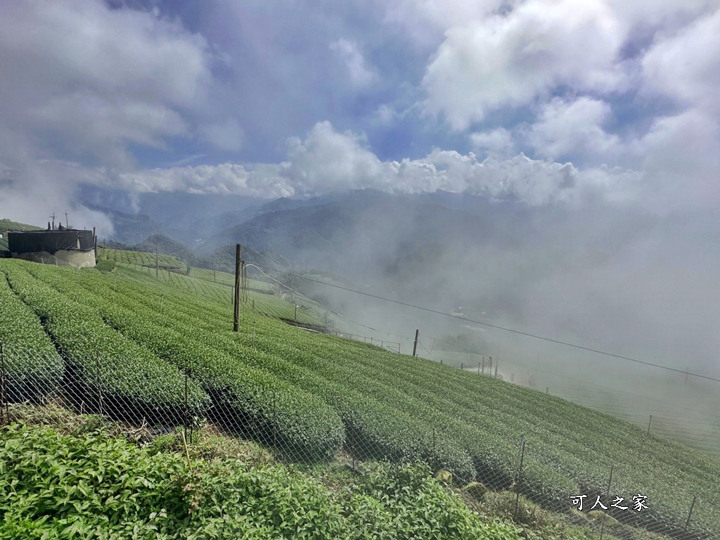 嘉義景點推薦,嘉義阿里山,茶林山步道,阿里山步道山景雲海,阿里山觀景台