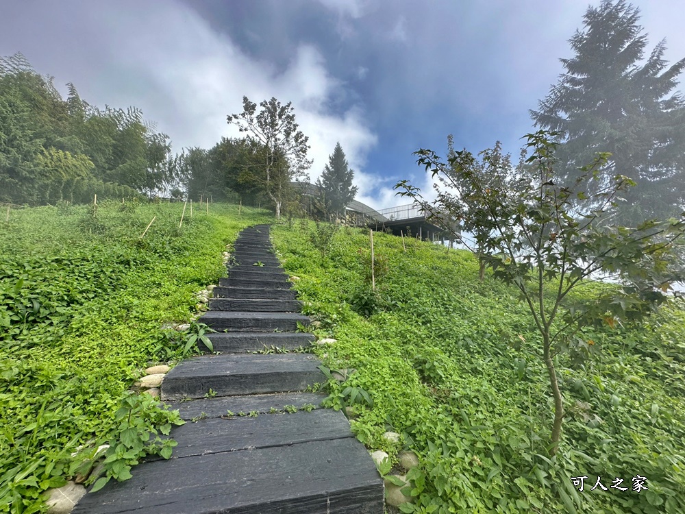 嘉義景點推薦,嘉義阿里山,茶林山步道,阿里山步道山景雲海,阿里山觀景台