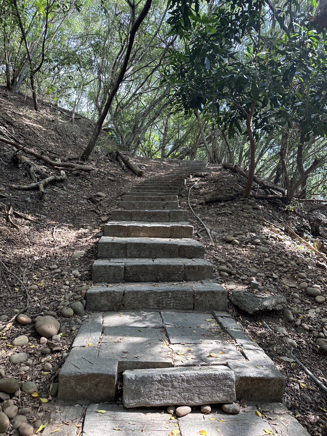 台中大肚景點,台中大肚萬里長城登山步道,台中景點,台中親子步道,台中走步道推薦,登山步道首選,萬里山長好走