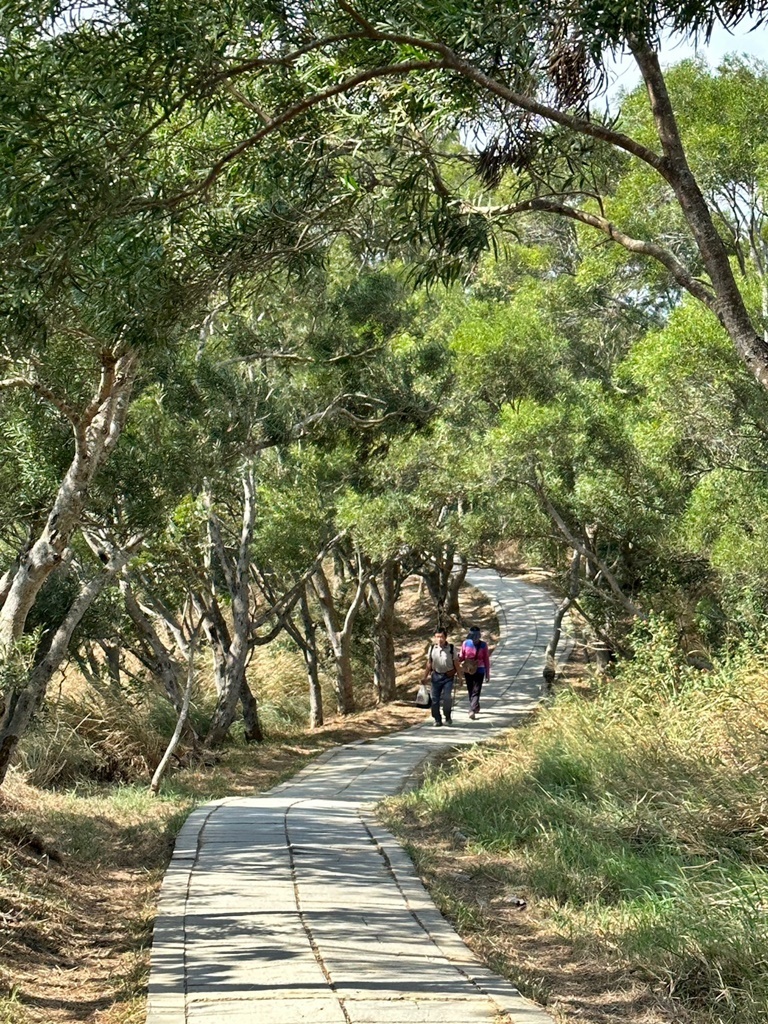 台中大肚景點,台中大肚萬里長城登山步道,台中景點,台中親子步道,台中走步道推薦,登山步道首選,萬里山長好走