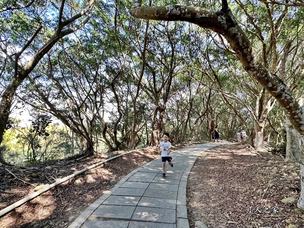 台中大肚景點,台中大肚萬里長城登山步道,台中景點,台中親子步道,台中走步道推薦,登山步道首選,萬里山長好走