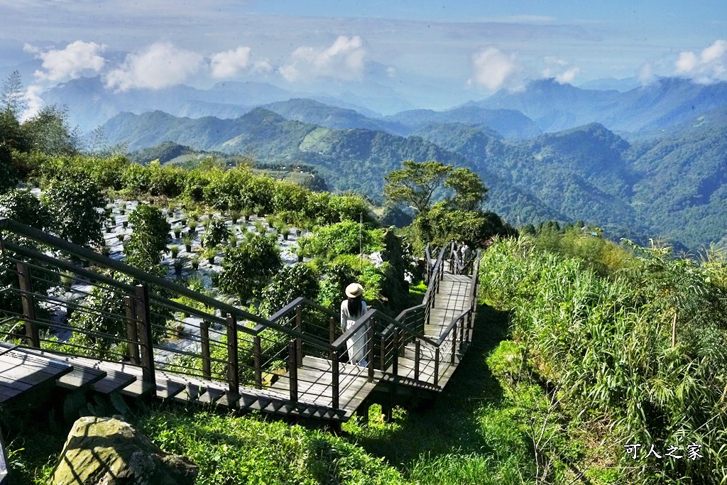 二延平步道開車直達,嘉義阿里山,隙頂二延平步道