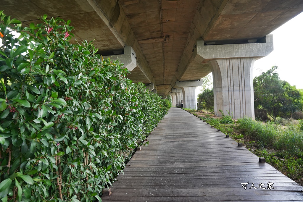 台中步道推薦,沙鹿IG打卡步道,沙鹿休閒景觀步道,親子步道