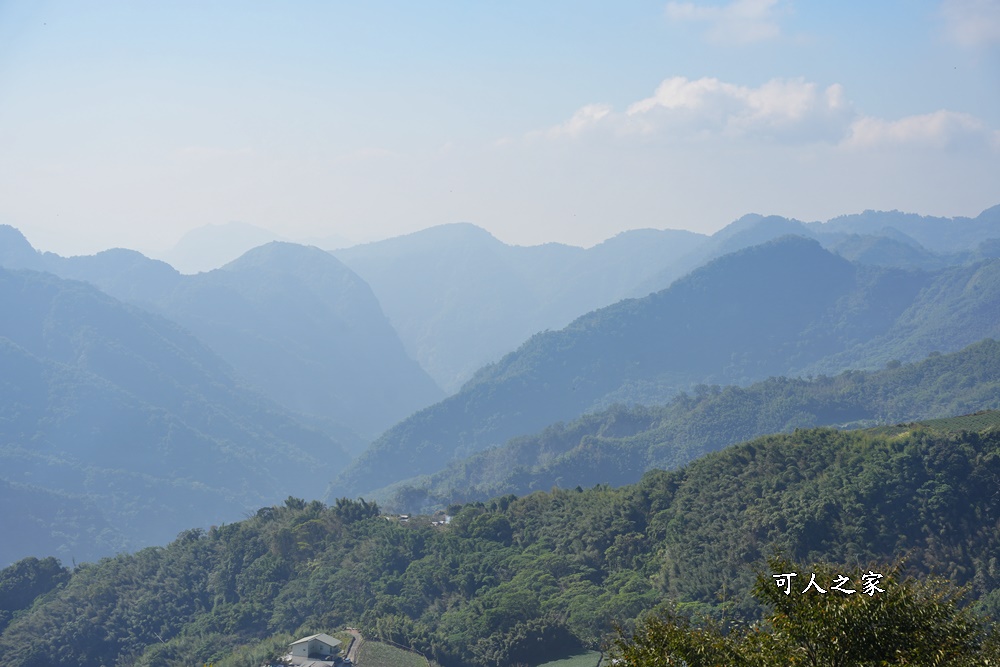 佐一茶屋位置在哪？,佐一茶屋好吃嗎？,佐一茶屋營業時間,佐一茶屋餐點,嘉義阿里山,阿里山63.7公里佐一茶屋