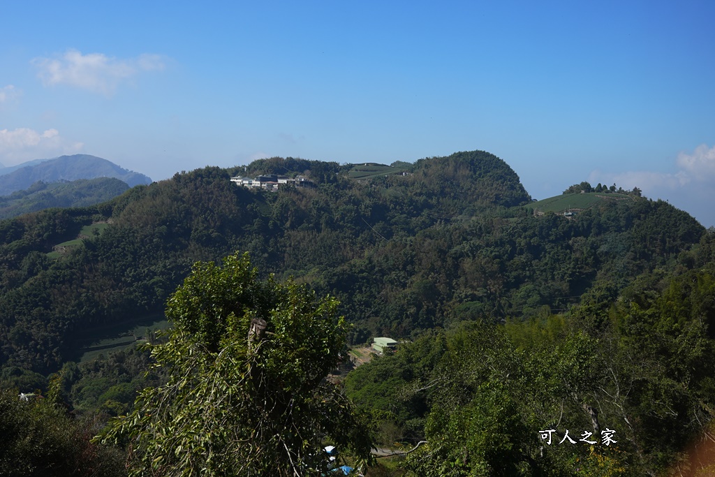 佐一茶屋位置在哪？,佐一茶屋好吃嗎？,佐一茶屋營業時間,佐一茶屋餐點,嘉義阿里山,阿里山63.7公里佐一茶屋