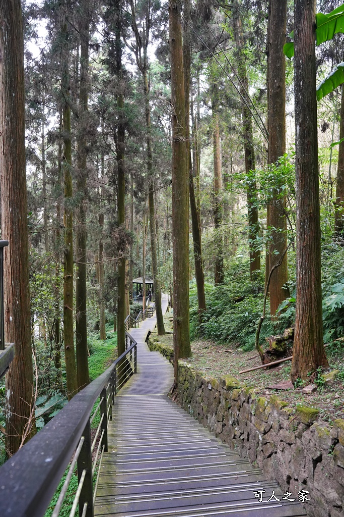 嘉義景點,嘉義步道有哪些,嘉義阿里山,阿里山步道推薦