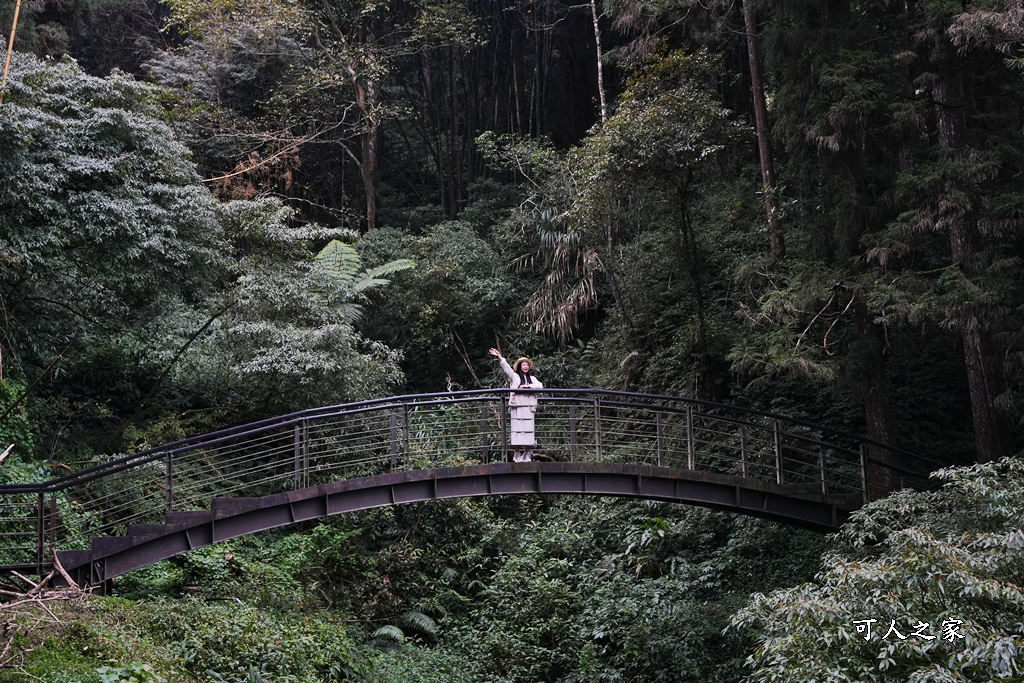 嘉義景點,嘉義步道有哪些,嘉義阿里山,阿里山步道推薦