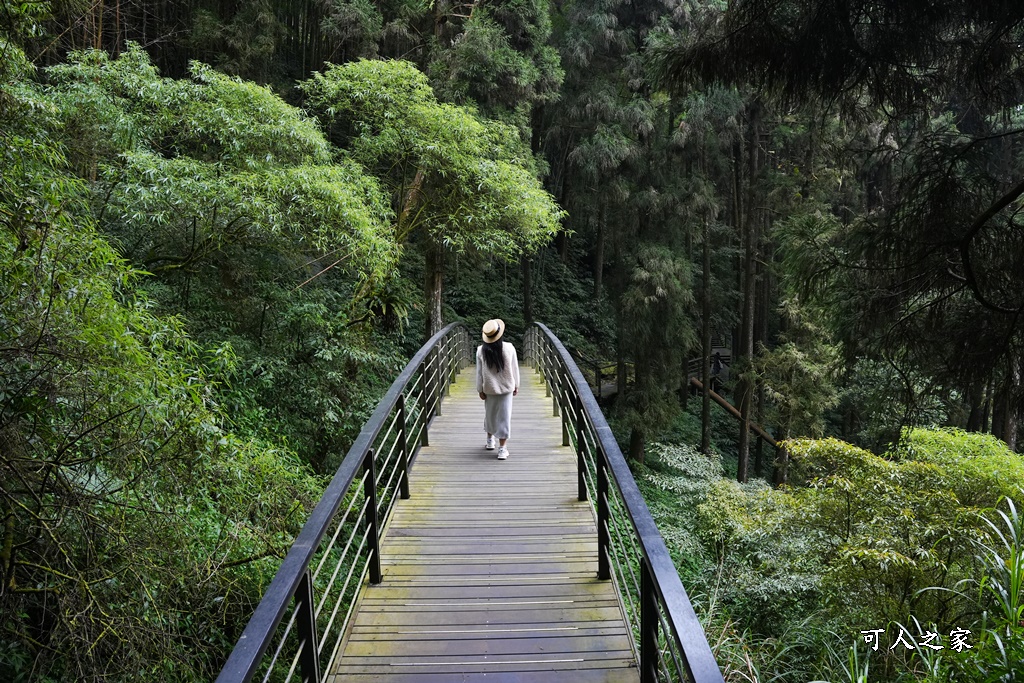 嘉義景點,嘉義步道有哪些,嘉義阿里山,阿里山步道推薦