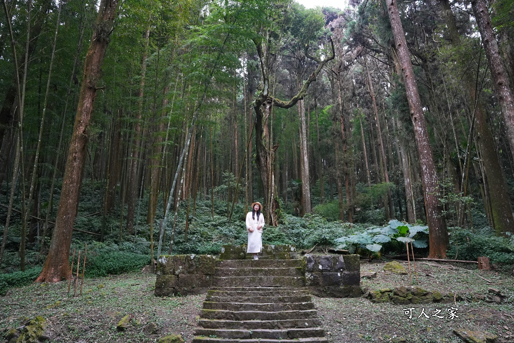 嘉義景點,嘉義步道有哪些,嘉義阿里山,阿里山步道推薦