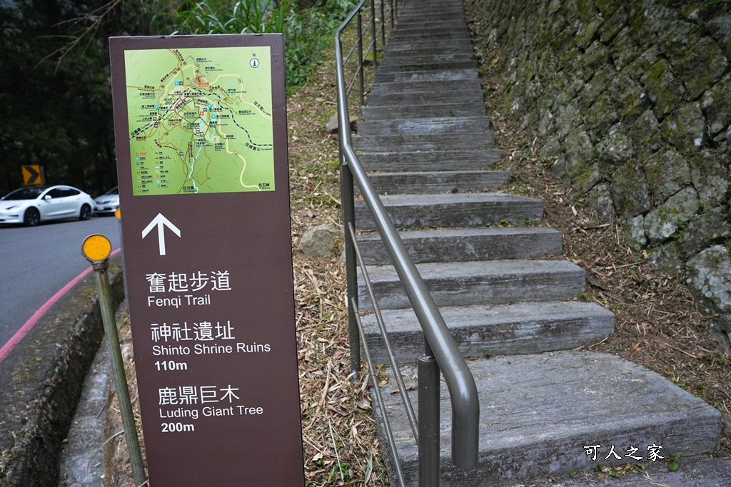 嘉義景點,嘉義步道有哪些,嘉義阿里山,阿里山步道推薦