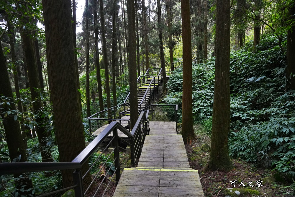 嘉義景點,嘉義步道有哪些,嘉義阿里山,阿里山步道推薦