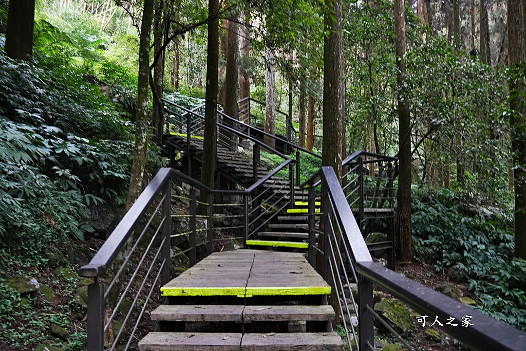 嘉義景點,嘉義步道有哪些,嘉義阿里山,阿里山步道推薦