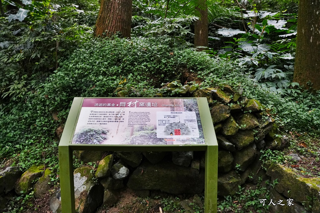 嘉義景點,嘉義步道有哪些,嘉義阿里山,阿里山步道推薦