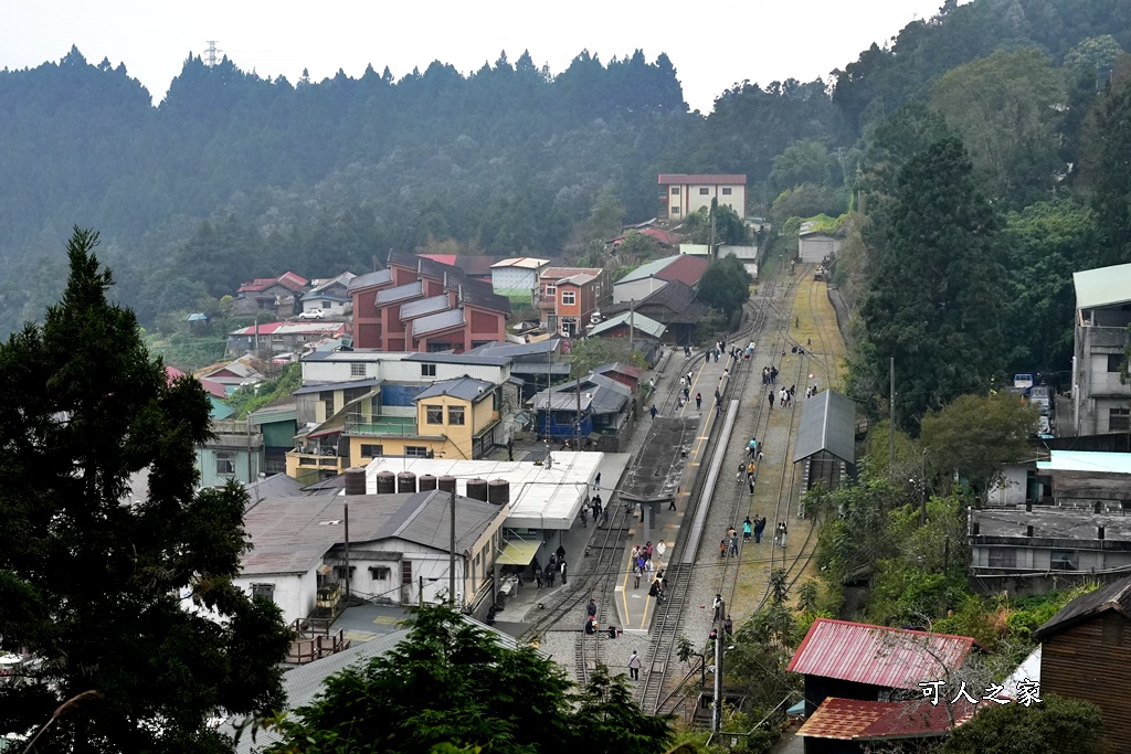 嘉義景點,嘉義步道有哪些,嘉義阿里山,阿里山步道推薦