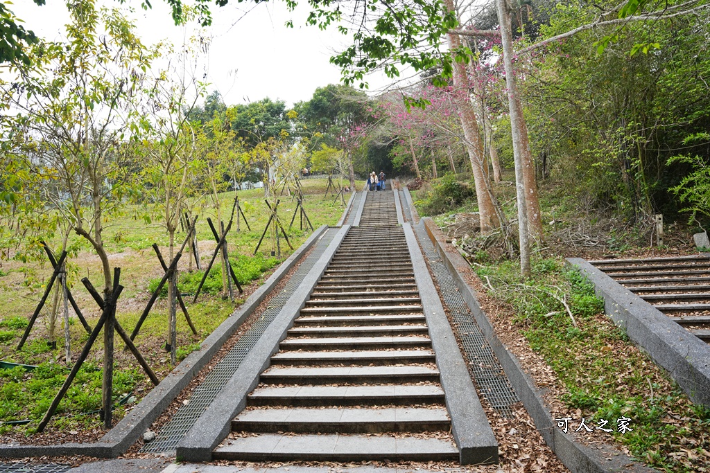 嘉義景點阿里山梅山,嘉義阿里山,太興岩步道