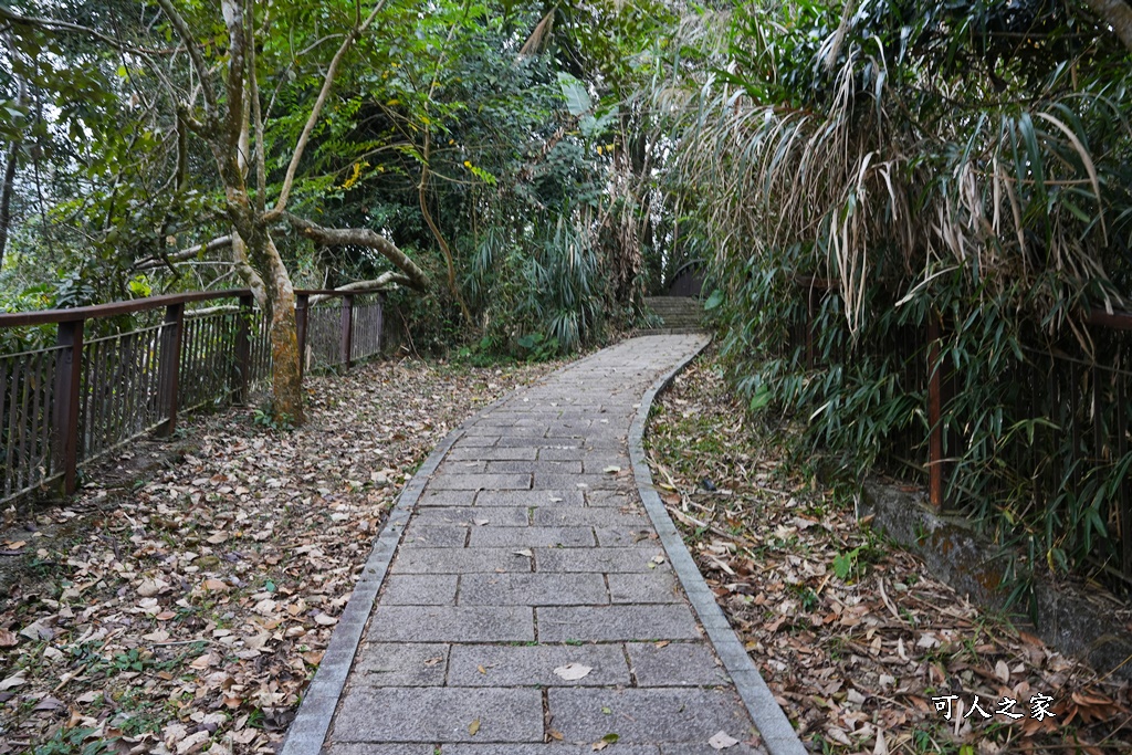 嘉義景點阿里山梅山,嘉義阿里山,太興岩步道