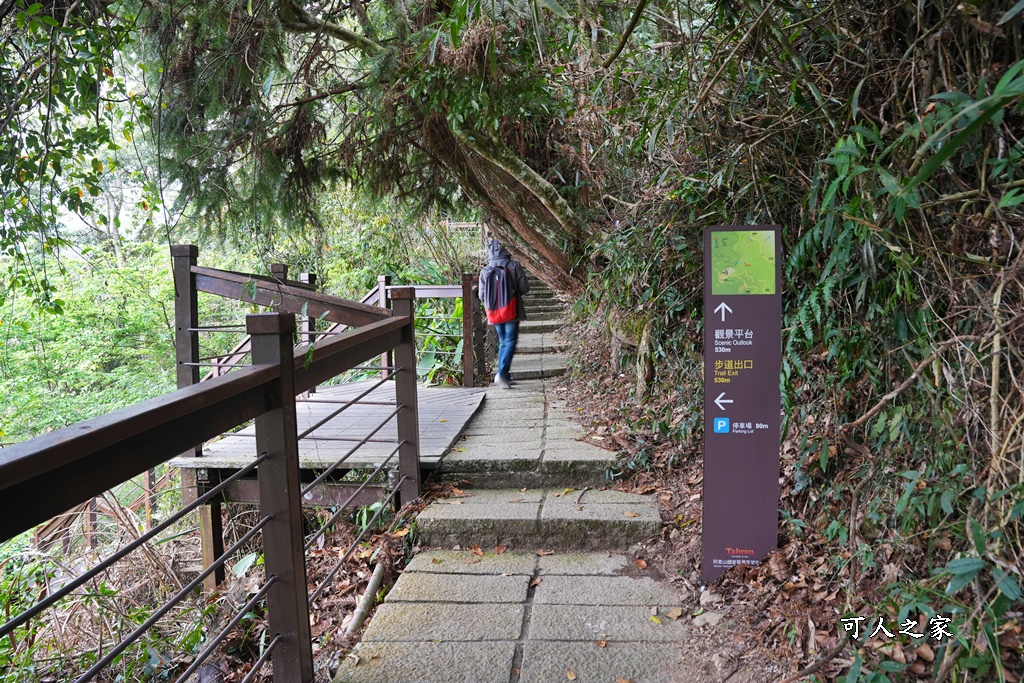 嘉義景點阿里山梅山,嘉義阿里山,太興岩步道