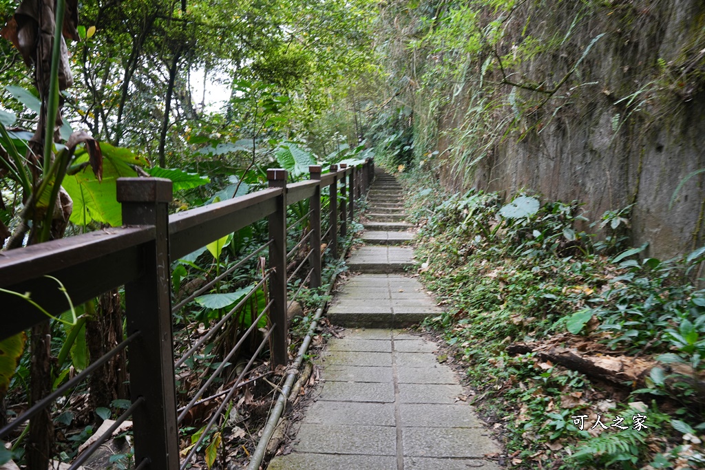 嘉義景點阿里山梅山,嘉義阿里山,太興岩步道