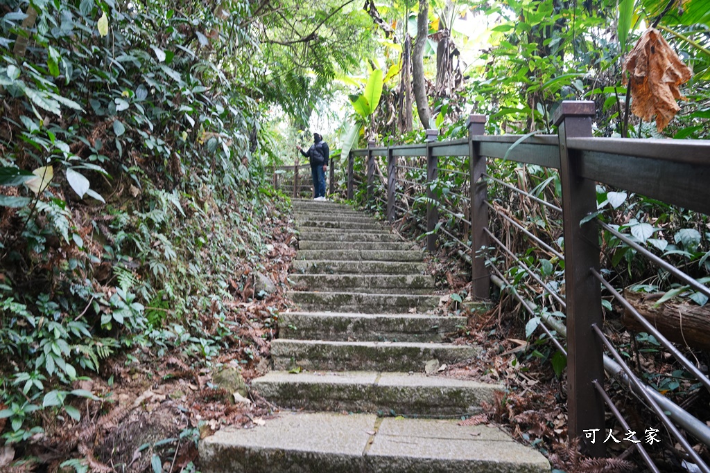 嘉義景點阿里山梅山,嘉義阿里山,太興岩步道