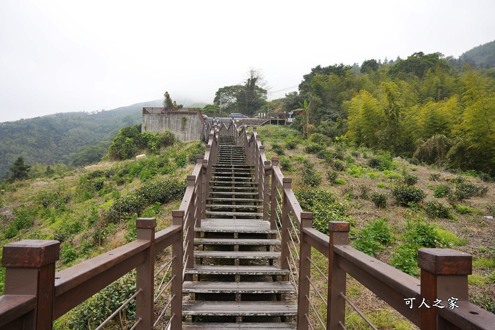 嘉義景點阿里山梅山,嘉義阿里山,太興岩步道