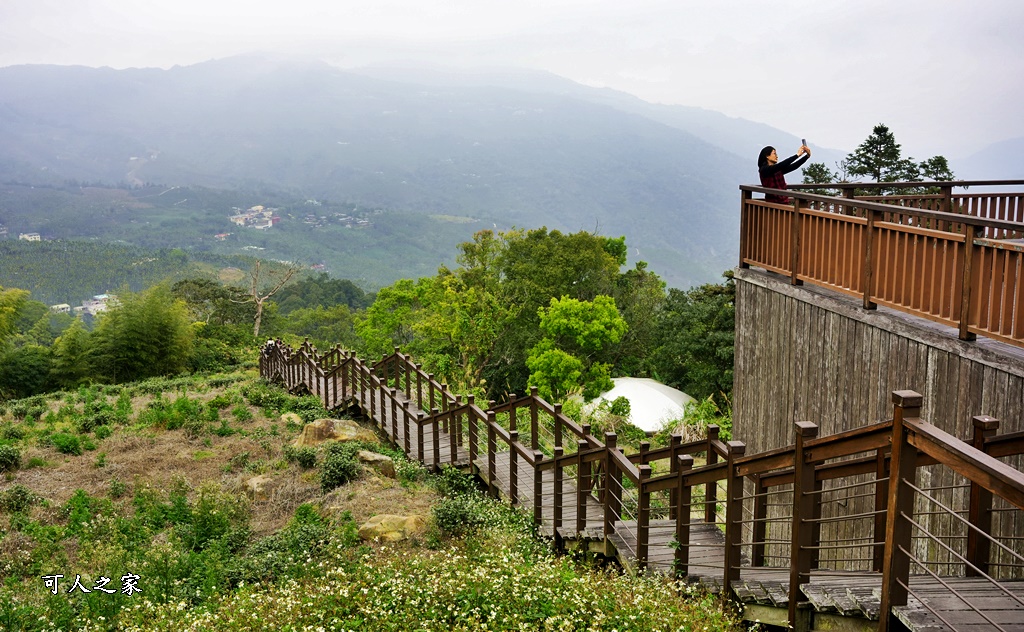 嘉義景點阿里山梅山,嘉義阿里山,太興岩步道