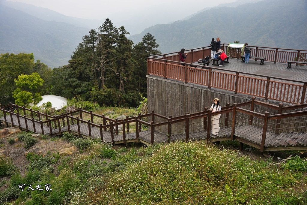 嘉義景點阿里山梅山,嘉義阿里山,太興岩步道