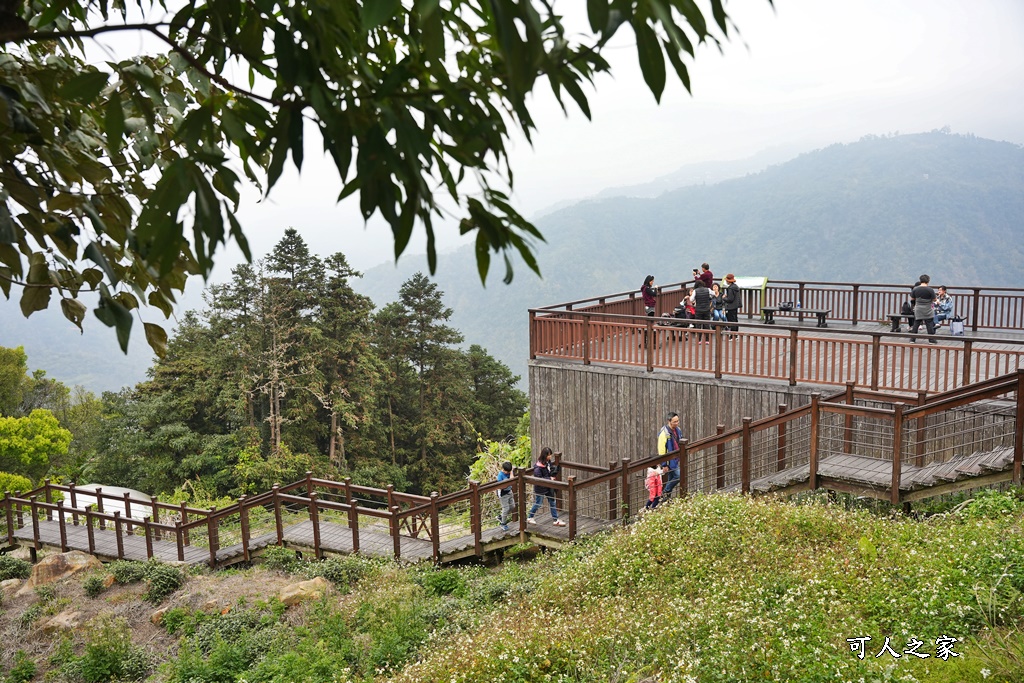 嘉義景點阿里山梅山,嘉義阿里山,太興岩步道