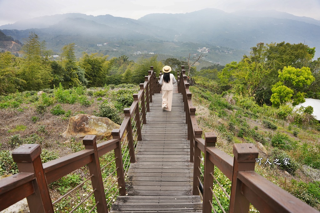 嘉義景點阿里山梅山,嘉義阿里山,太興岩步道