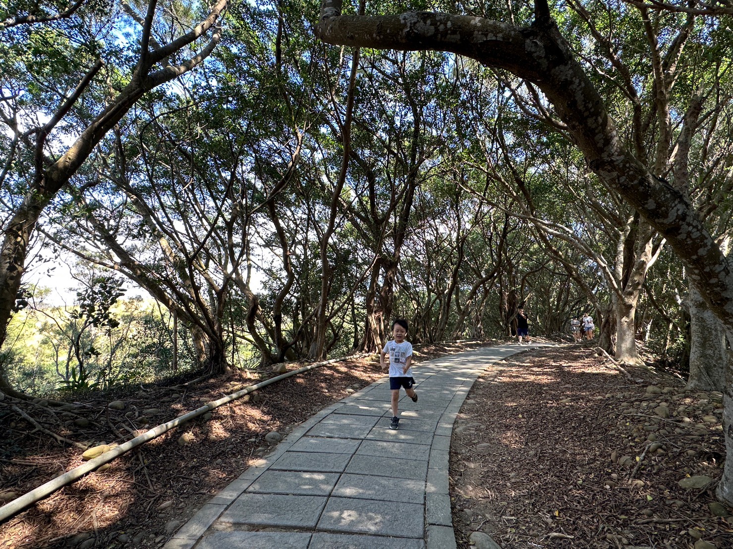 台中大肚景點,台中大肚萬里長城登山步道,台中景點,台中親子步道,台中走步道推薦,登山步道首選,萬里山長好走