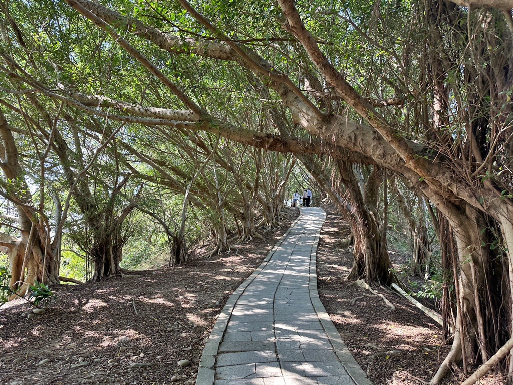 台中大肚景點,台中大肚萬里長城登山步道,台中景點,台中親子步道,台中走步道推薦,登山步道首選,萬里山長好走