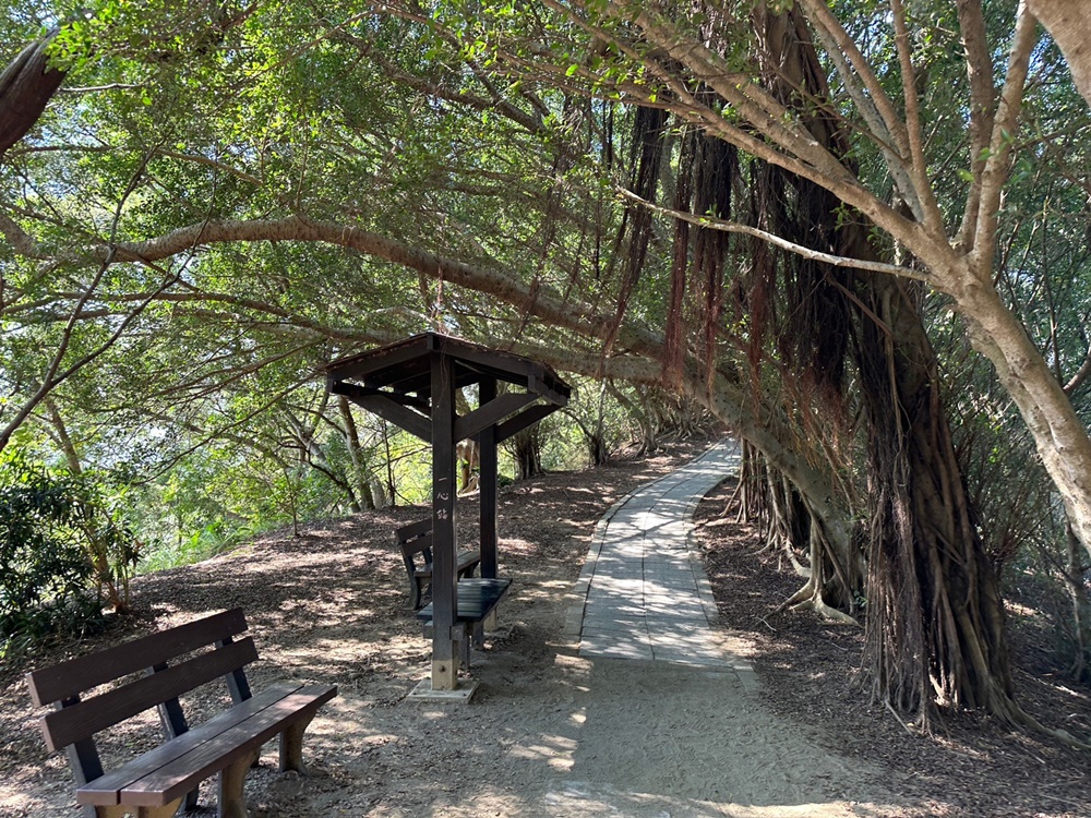 台中大肚景點,台中大肚萬里長城登山步道,台中景點,台中親子步道,台中走步道推薦,登山步道首選,萬里山長好走