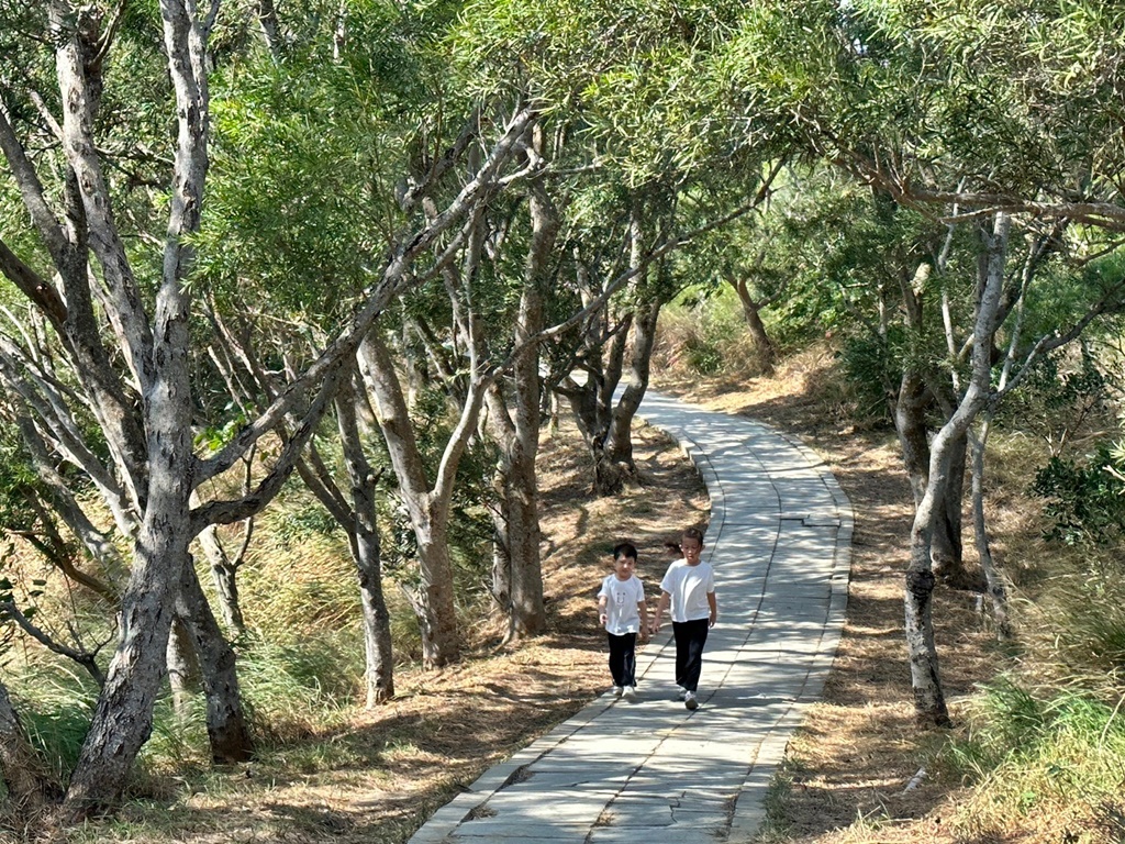 台中大肚景點,台中大肚萬里長城登山步道,台中景點,台中親子步道,台中走步道推薦,登山步道首選,萬里山長好走