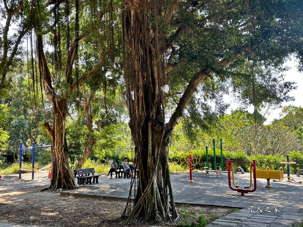 台中大肚景點,台中大肚萬里長城登山步道,台中景點,台中親子步道,台中走步道推薦,登山步道首選,萬里山長好走