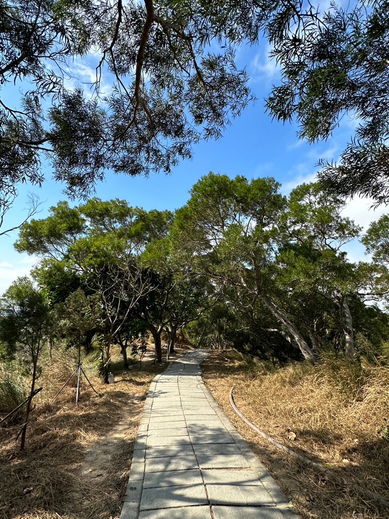 台中大肚景點,台中大肚萬里長城登山步道,台中景點,台中親子步道,台中走步道推薦,登山步道首選,萬里山長好走