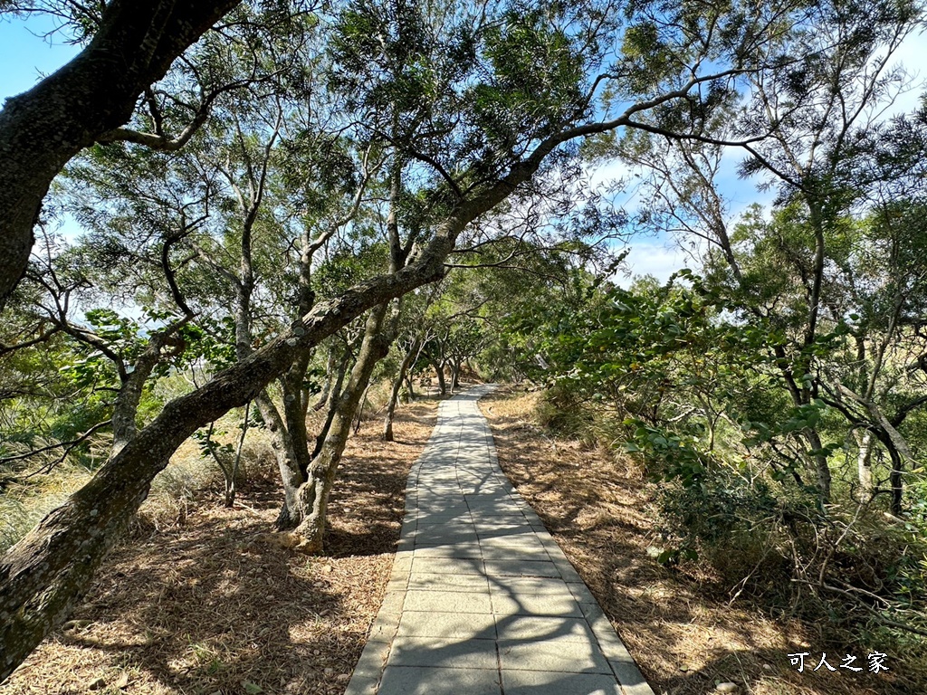 台中大肚景點,台中大肚萬里長城登山步道,台中景點,台中親子步道,台中走步道推薦,登山步道首選,萬里山長好走