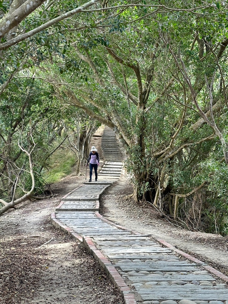 台中大肚景點,台中大肚萬里長城登山步道,台中景點,台中親子步道,台中走步道推薦,登山步道首選,萬里山長好走