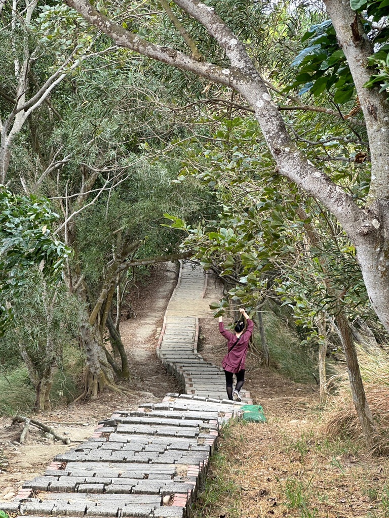 台中大肚景點,台中大肚萬里長城登山步道,台中景點,台中親子步道,台中走步道推薦,登山步道首選,萬里山長好走